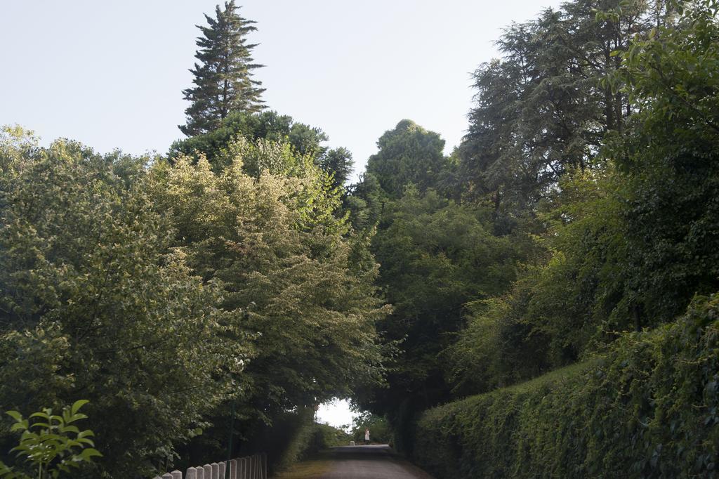 Quinta De Valverde Viana do Castelo Exterior photo
