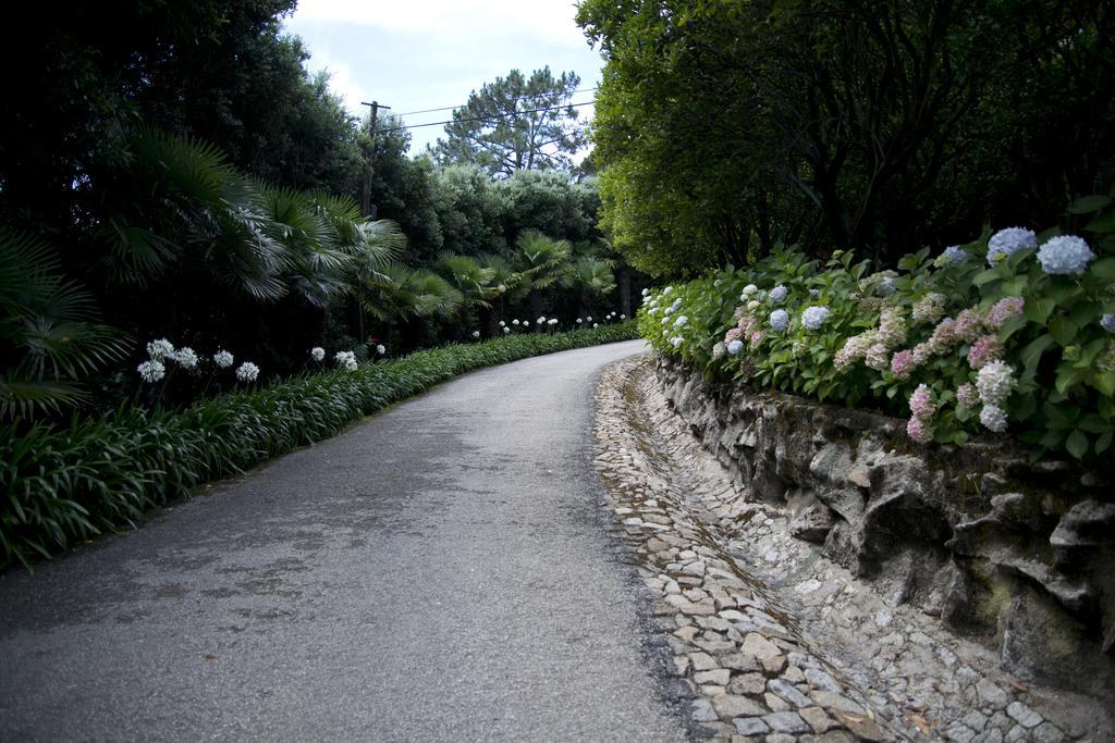 Quinta De Valverde Viana do Castelo Exterior photo